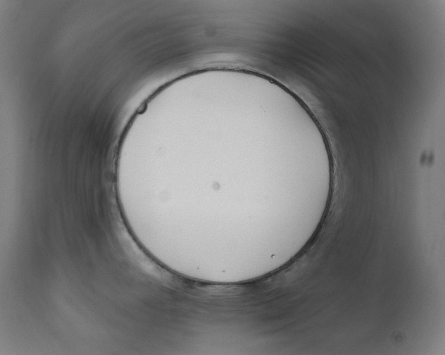 X0000112181392200909041219