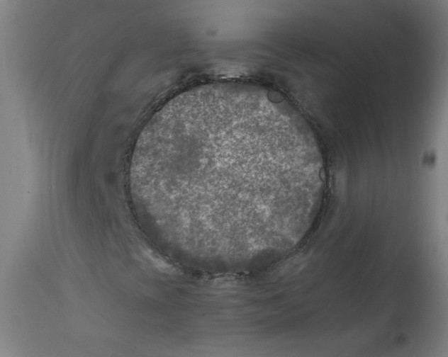 X0000112181393200909041218