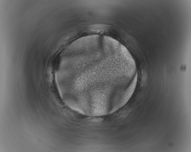 X0000112181394200909041218