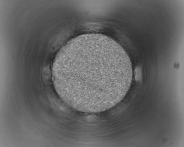 X0000112181395200909041218