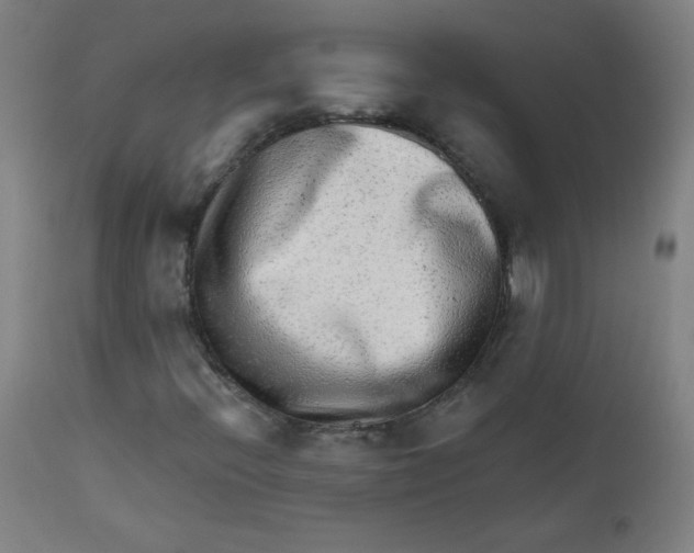 X0000112181396200909041218