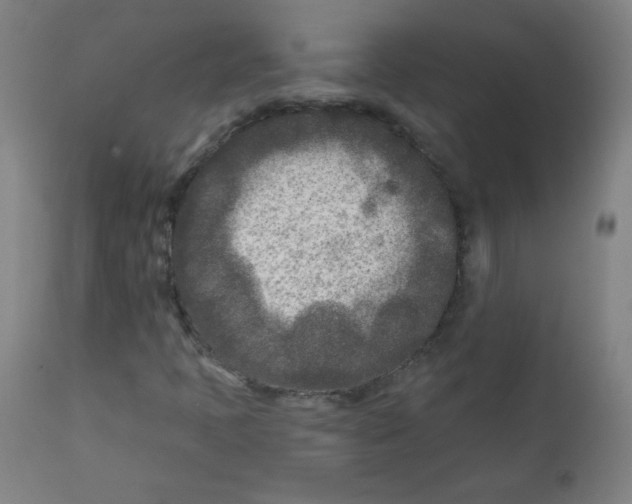 X0000112181397200909041218