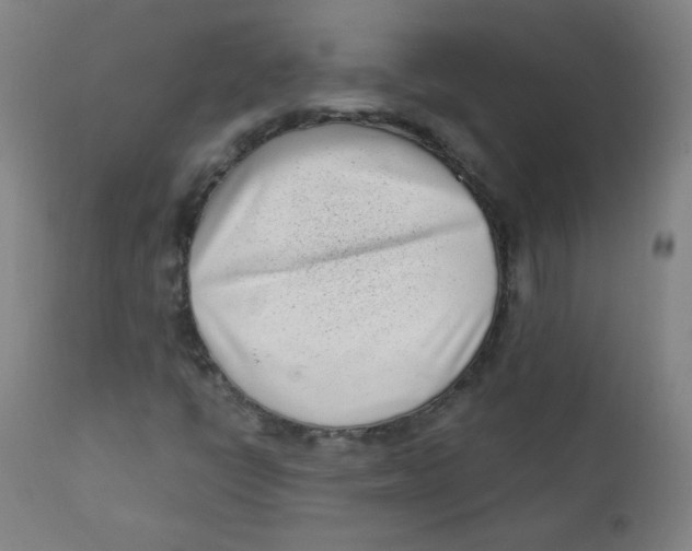 X0000112181398200909041218