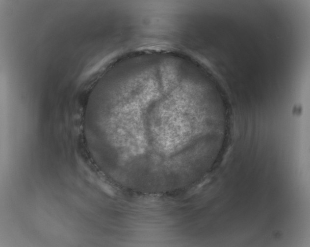 X0000112181399200909041218