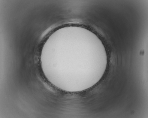 X0000112181400200909041218