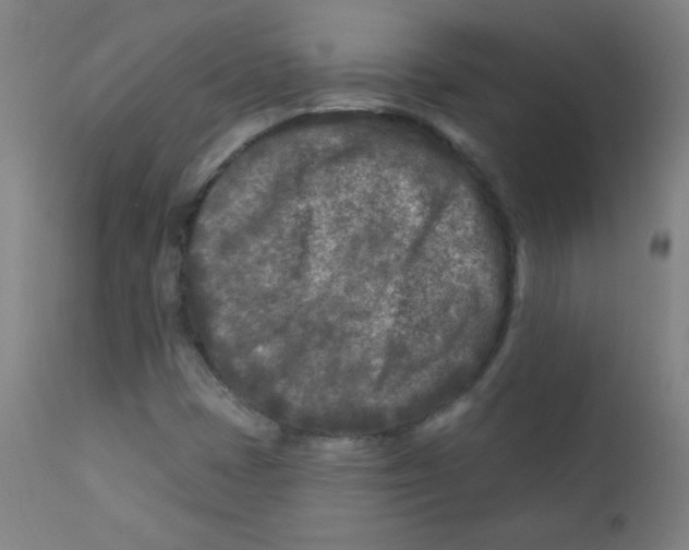 X0000112181401200909041218