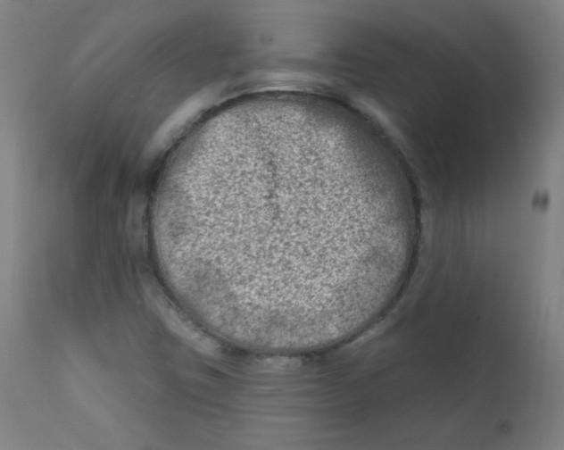 X0000112181403200909041219