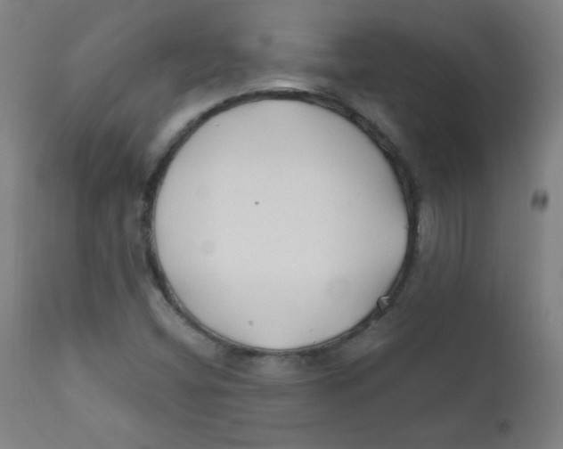 X0000112181404200909041219