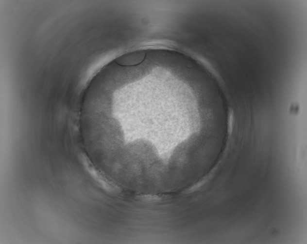X0000112181405200909041219