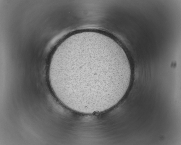 X0000112181406200909041219