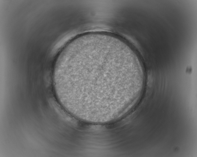 X0000112181407200909041219