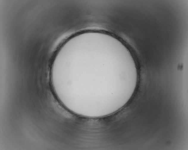 X0000112181408200909041219