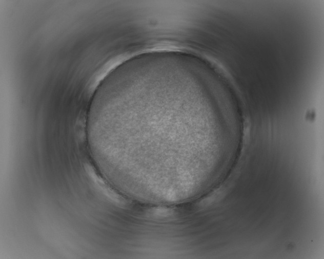 X0000112181409200909041219