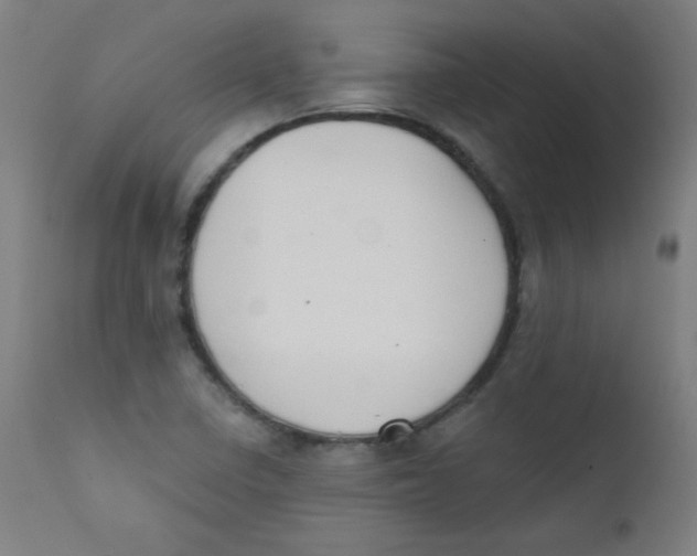 X0000112181410200909041219