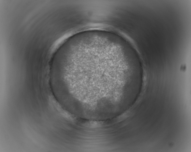 X0000112181411200909041219