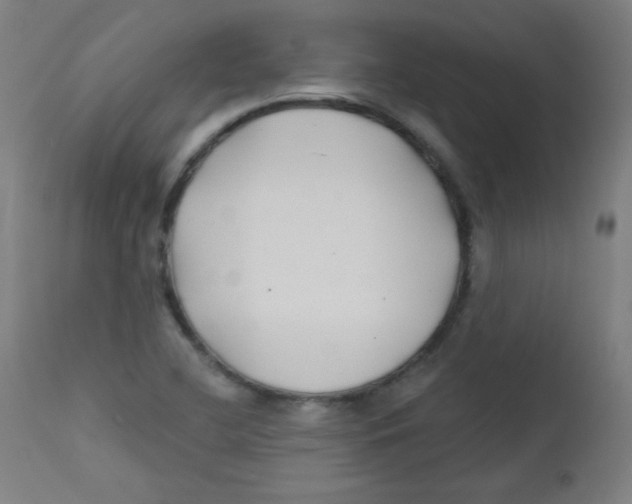 X0000112181412200909041219