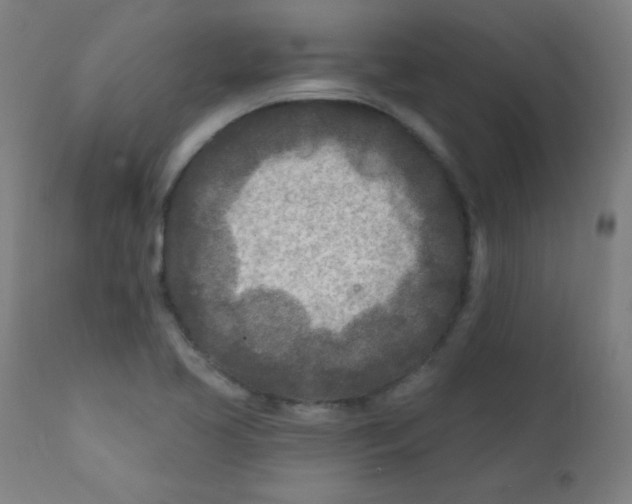 X0000112181413200909041219