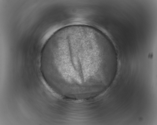 X0000112181415200909041219