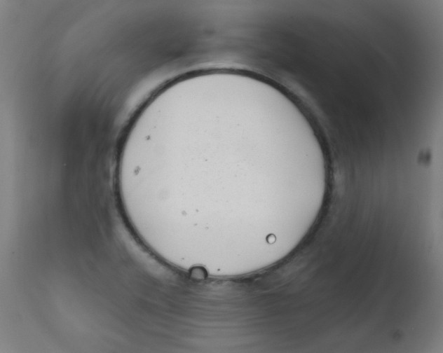 X0000112181416200909041219