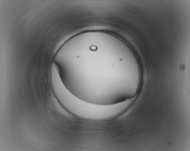 X0000112181417200909041219
