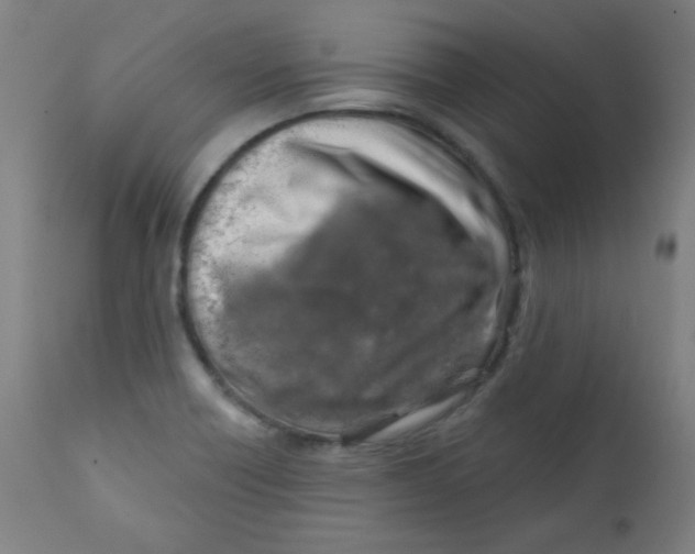 X0000112181418200909041219