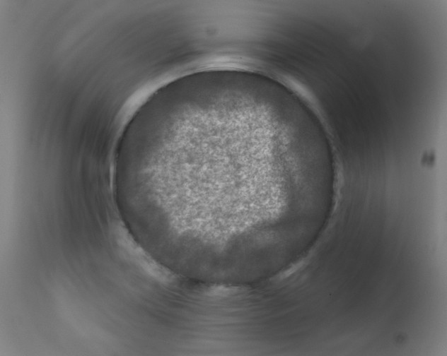 X0000112181419200909041219