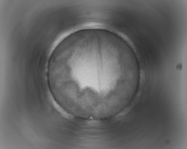 X0000112181421200909041219