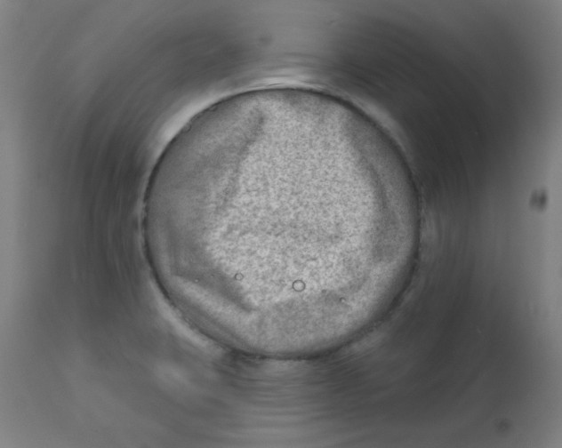 X0000112181423200909041219