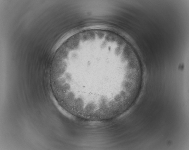 X0000112181425200909041219