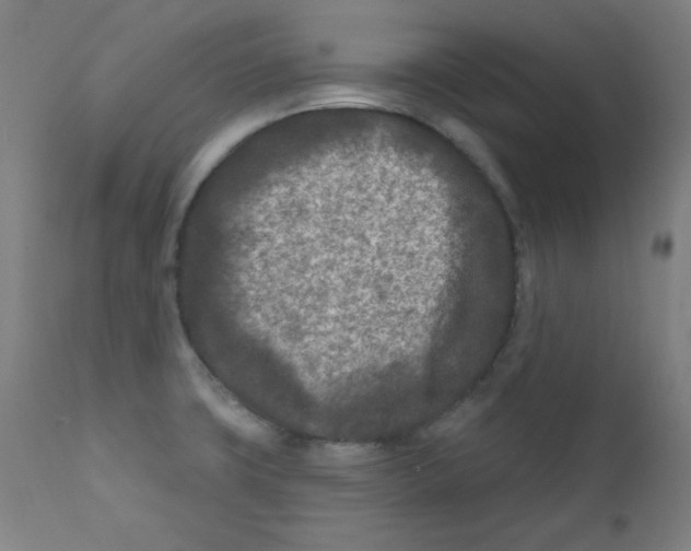 X0000112181427200909041219