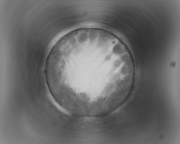 X0000112181429200909041219