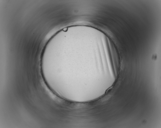 X0000112181430200909041219