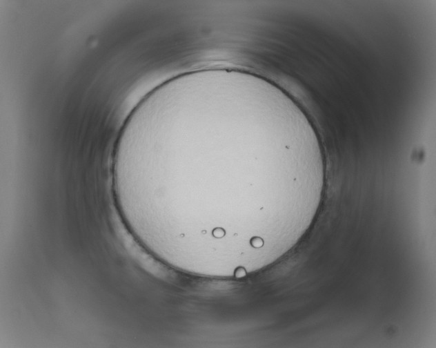 X0000112181431200909041219