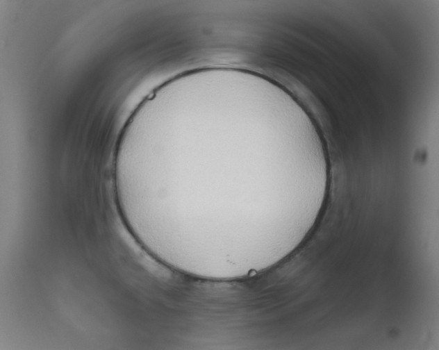 X0000112181432200909041219