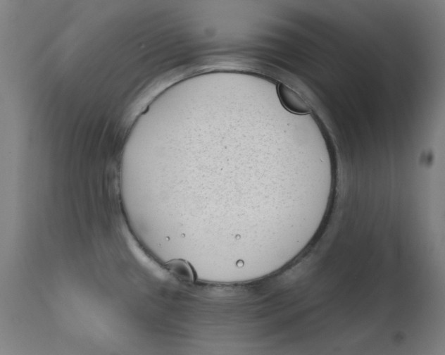 X0000112181433200909041219