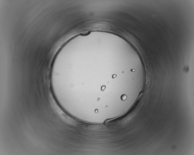 X0000112181434200909041219
