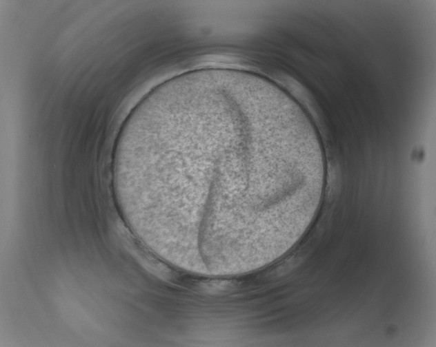 X0000112181435200909041219