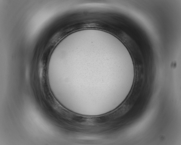 X0000112181438200909041219