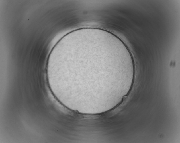 X0000112181440200909041219