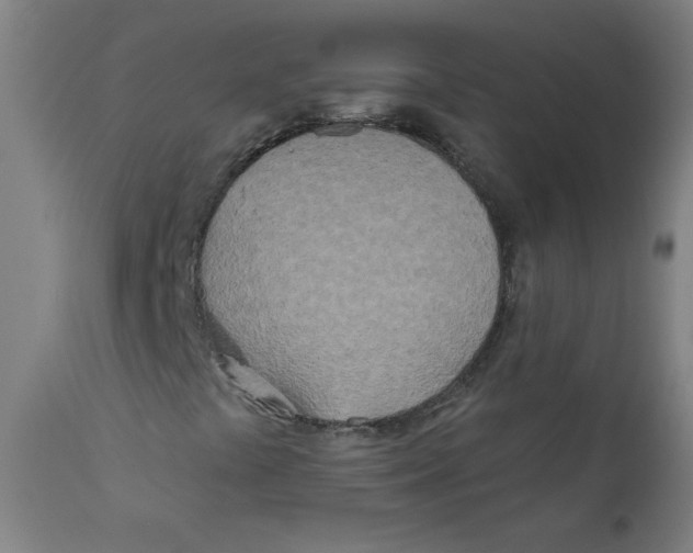 X0000112181441200909041218