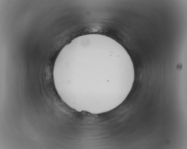 X0000112181442200909041218