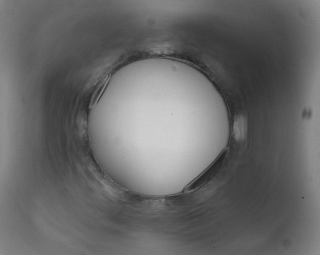 X0000112181444200909041218