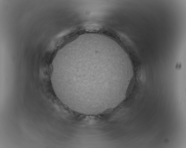 X0000112181445200909041218