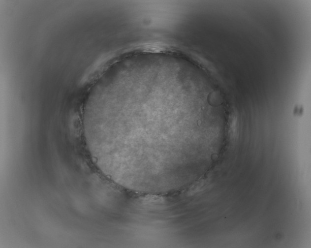 X0000112181446200909041218