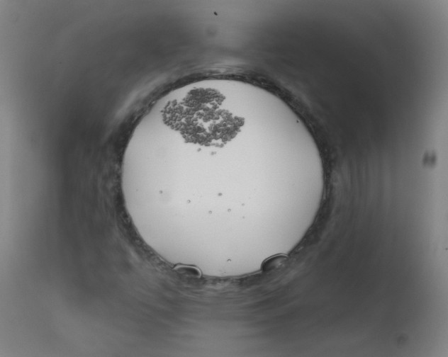 X0000112181447200909041218