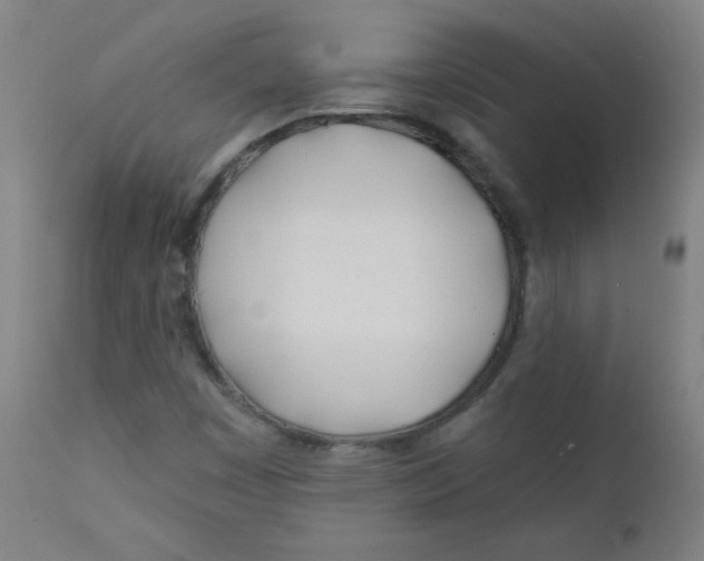 X0000112181449200909041218