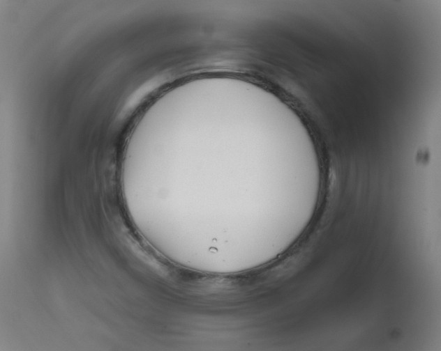 X0000112181450200909041218