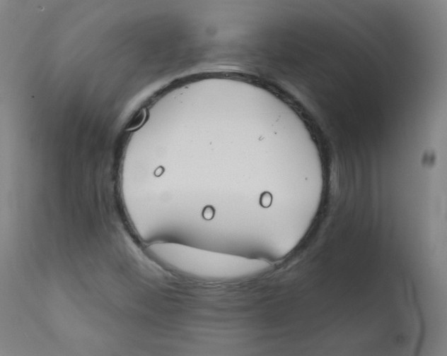 X0000112181452200909041218