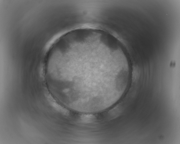 X0000112181454200909041218