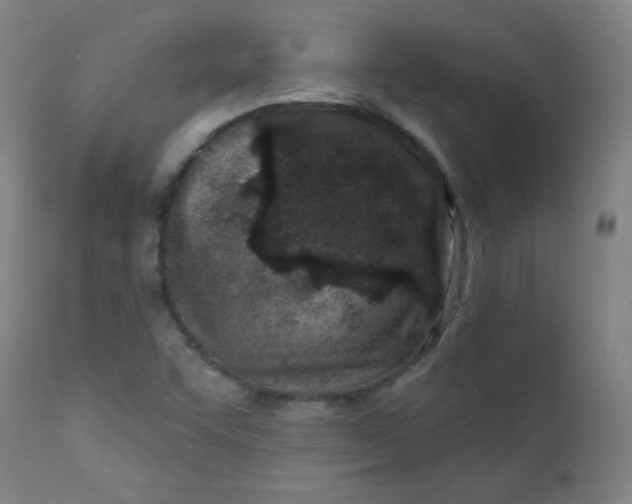 X0000112181455200909041218